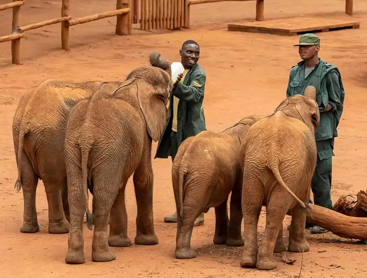 Discover Lusaka: A Cultural and Wildlife Expedition