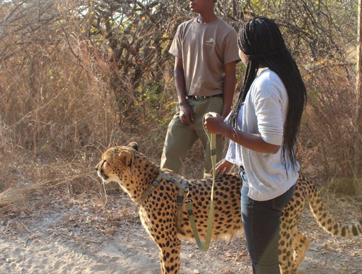 Chaminuka Day Visit package